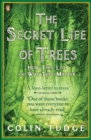 The Secret Life of Trees : How They Live and Why They Matter - eBook