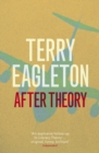 After Theory - eBook