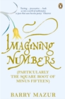 Imagining Numbers : (Particularly the Square Root of Minus Fifteen) - Barry Mazur