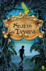 Secrets of Tamarind - eBook