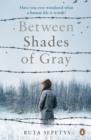 Between Shades Of Gray - eBook