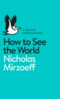 How to See the World - Book