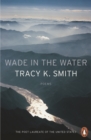 Wade in the Water - Book