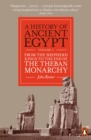 A History of Ancient Egypt, Volume 3 : From the Shepherd Kings to the End of the Theban Monarchy - Book