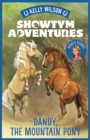 Showtym Adventures 1: Dandy, the Mountain Pony : Dandy, the Mountain Pony - eBook