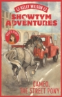 Showtym Adventures 2: Cameo, the Street Pony - eBook