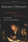 Looking for Spinoza : Joy, Sorrow, and the Feeling Brain - Book