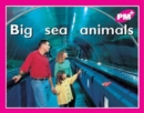 Big sea animals - Book