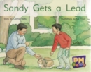 Sandy Gets a Lead - Book