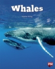 WHALES - Book
