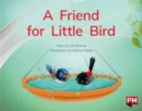 FRIEND FOR LITTLE BIRD - Book