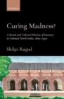 Curing Madness? : A Social and Cultural History of Insanity in Colonial North India, 1800-1950s - Book