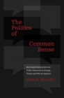 The Politics of Common Sense : How Social Movements Use Public Discourse to Change Politics and Win Acceptance - eBook