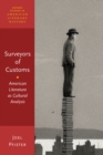 Surveyors of Customs : American Literature as Cultural Analysis - eBook