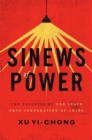 Sinews of Power : Politics of the State Grid Corporation of China - Book
