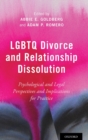 LGBTQ Divorce and Relationship Dissolution : Psychological and Legal Perspectives and Implications for Practice - Book
