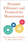 Dynamic Efficiency and Productivity Measurement - Book