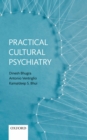Practical Cultural Psychiatry - eBook