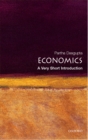 Economics: A Very Short Introduction - eBook