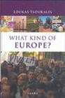What Kind of Europe? - eBook