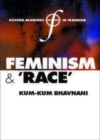 Feminism and Race - eBook