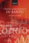Tense and Aspect in Bantu - eBook