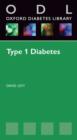Type 1 Diabetes - eBook
