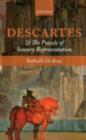 Descartes and the Puzzle of Sensory Representation - eBook