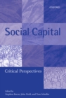 Social Capital : Critical Perspectives - eBook