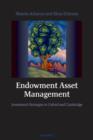 Endowment Asset Management : Investment Strategies in Oxford and Cambridge - eBook