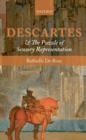 Descartes and the Puzzle of Sensory Representation - eBook