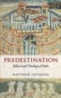 Predestination : Biblical and Theological Paths - eBook