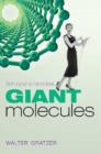 Giant Molecules : From nylon to nanotubes - eBook