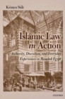 Islamic Law in Action : Authority, Discretion, and Everyday Experiences in Mamluk Egypt - eBook