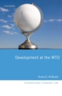 Development at the WTO - eBook