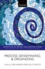 Process, Sensemaking, and Organizing - eBook