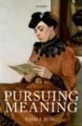 Pursuing Meaning - eBook