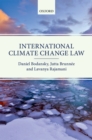 International Climate Change Law - eBook