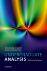 Undergraduate Analysis : A Working Textbook - eBook
