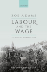 Labour and the Wage : A Critical Perspective - eBook