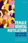 Female Genital Mutilation : When Culture and Law Clash - eBook