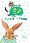 Dr KittyCat is ready to rescue: Clover the Bunny - Book