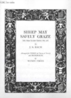 Sheep may safely graze - Book