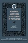 Wonderful Adventures of Mrs Seacole in Many Lands - Book