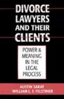 Divorce Lawyers and Their Clients : Power and Meaning in the Legal Process - Book