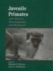 Juvenile Primates : Life History, Development, and Behavior - Book