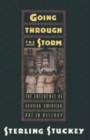 Going Through the Storm : The Influence of African American Art in History - Book
