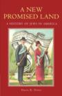 A New Promised Land : A History of Jews in America - Book