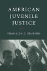 American Juvenile Justice - Book