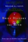 A Brief History of the Mind : From Apes to Intellect and Beyond - Book